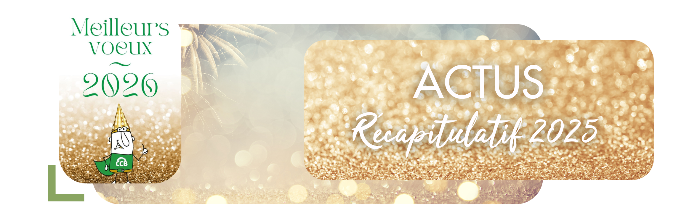 ACTUALITÉS : RÉCAPITULATIFS 2025